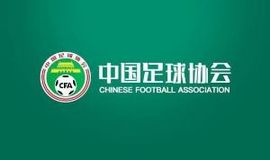 官方：中国足协设立纪律与道德委员会，徐家力担任委员会主任