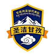 绵阳队