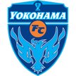 鹿岛鹿角
