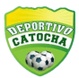 巨美老虎